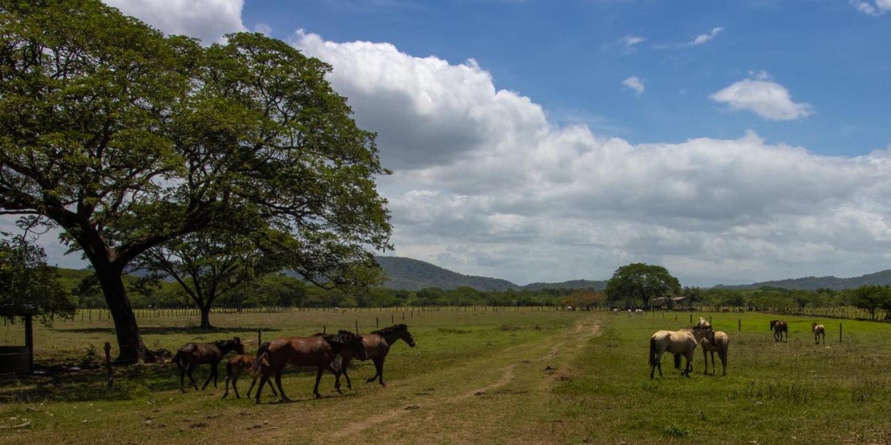 Rancho Humo Estancia Puerto Humo  Exteriör bild