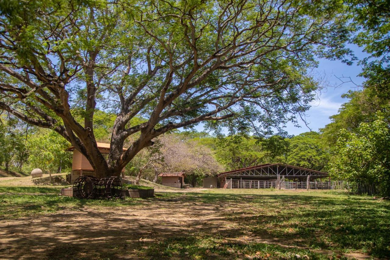 Rancho Humo Estancia Puerto Humo  Exteriör bild