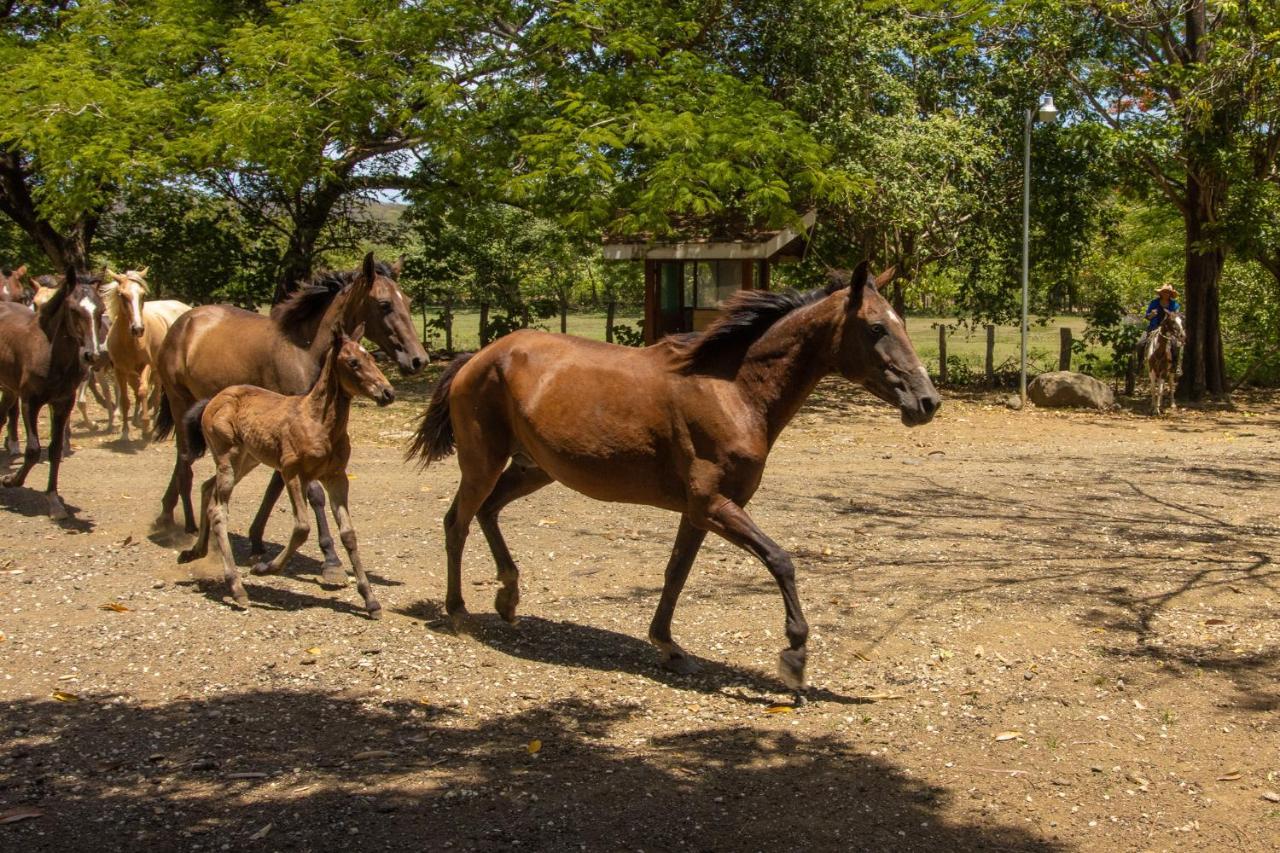 Rancho Humo Estancia Puerto Humo  Exteriör bild